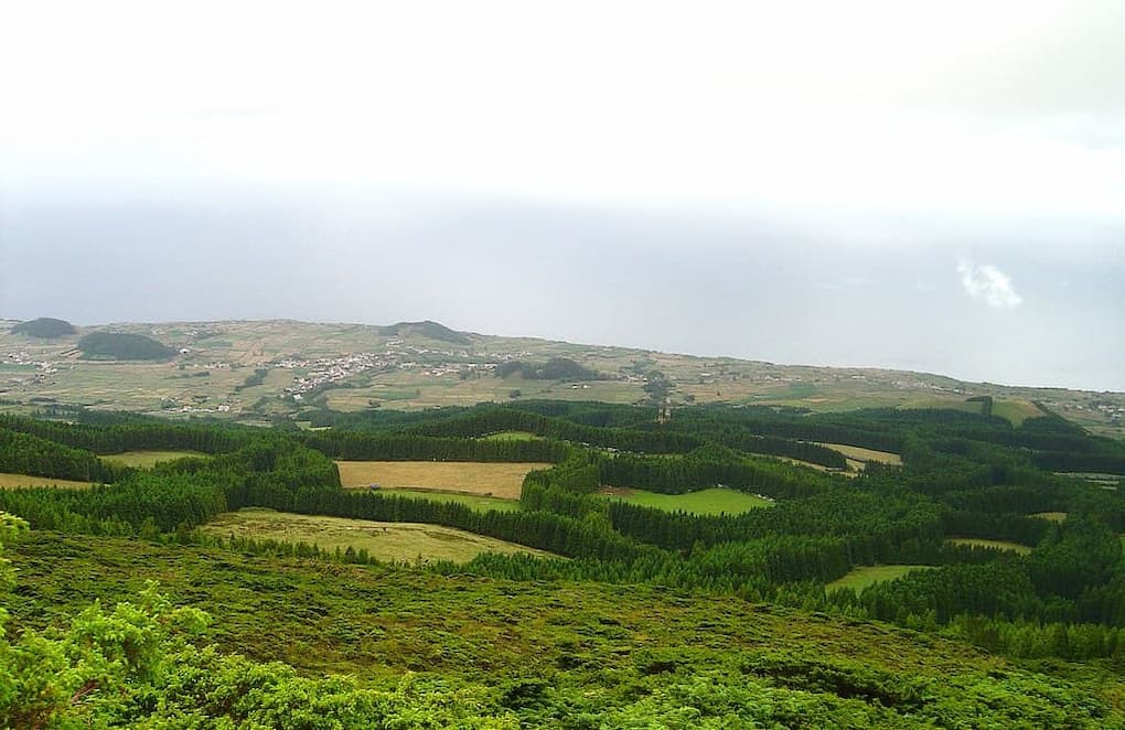 Campos verdes pela montanha abaixo