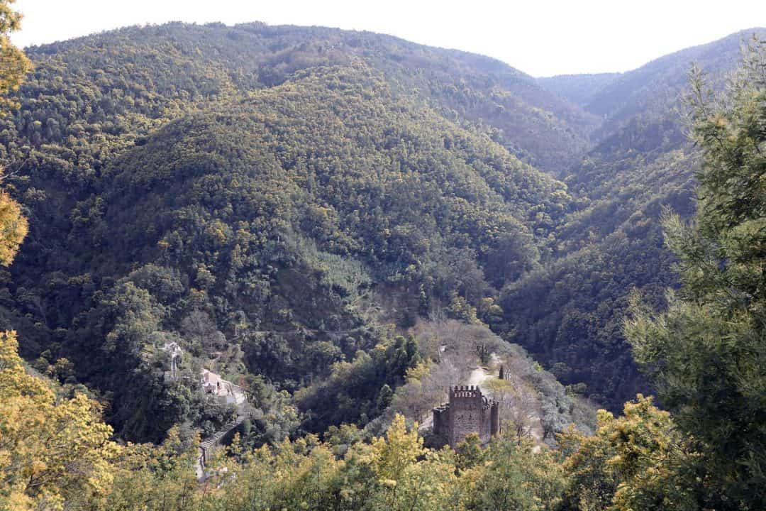 Castelo entre arvores da foresta