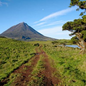 Pico, Faial e S. Jorge – Uma viagem ao Triângulo dos Açores – 10 a 17 de Junho 2022