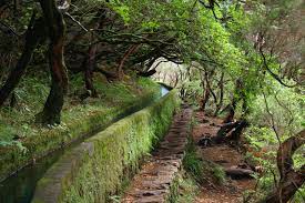 Madeira – Uma Viagem à Pérola do Atlântico – 8 a 13 de Junho de 2024