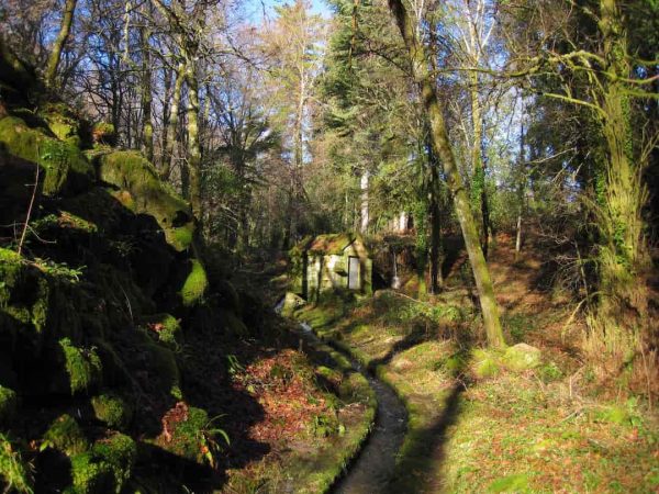 Levada da Vibora