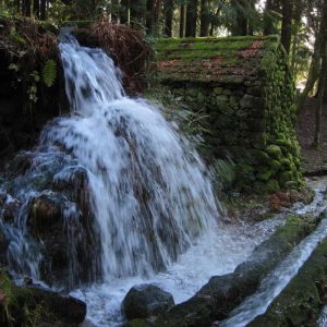 Levada da Víbora e Moinhos de Rei – 13 de Maio de 2023