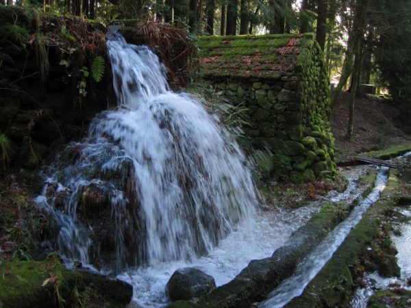 Levada da Vibora