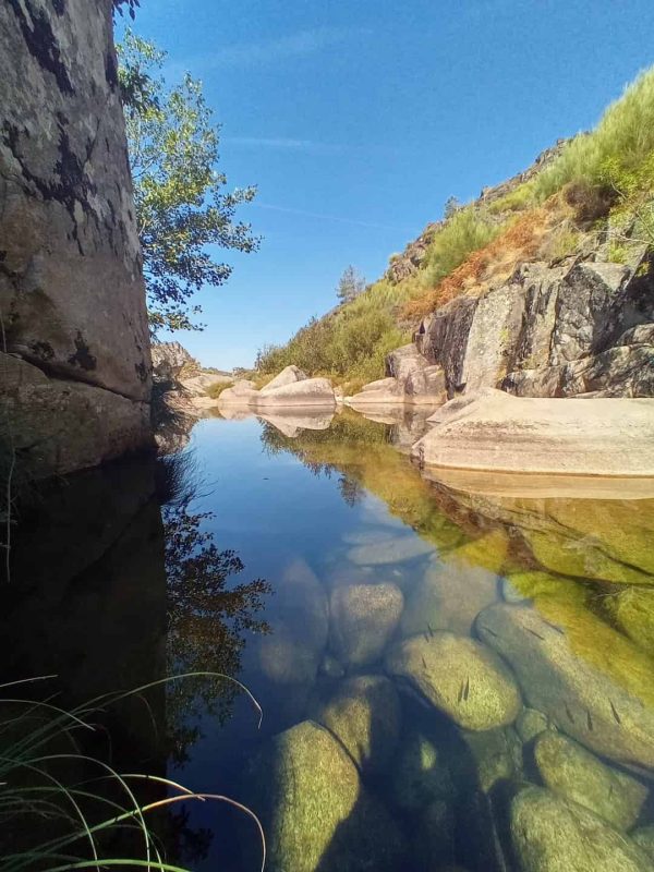 Lagoa - Rio Poio - Cerva