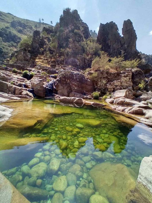 Lagoa - Rio Poio - Cerva