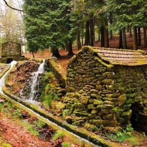 Levada da Víbora e Moinhos de Rei – 13 de Maio de 2023
