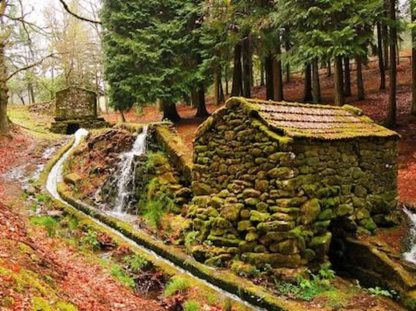 Levada da Vibora - Moinhos de Rei