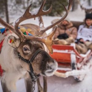 Viagem à Lapónia (Rovaniemi) – Uma Aventura no Ártico – 23 a 28 de Março de 2024